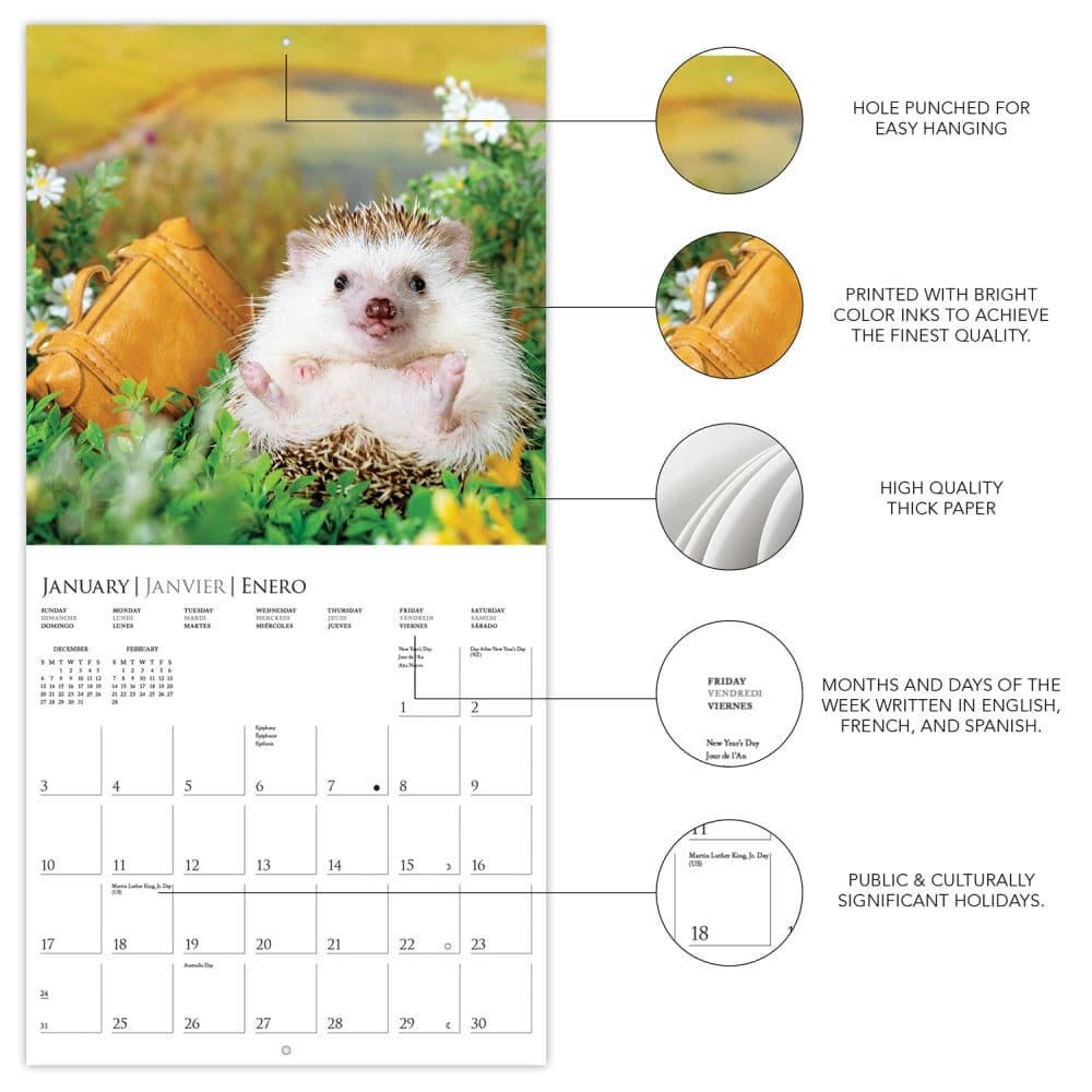 Happiest Hedgehogs 2027 Mini Wall Calendar Second Alternate Image