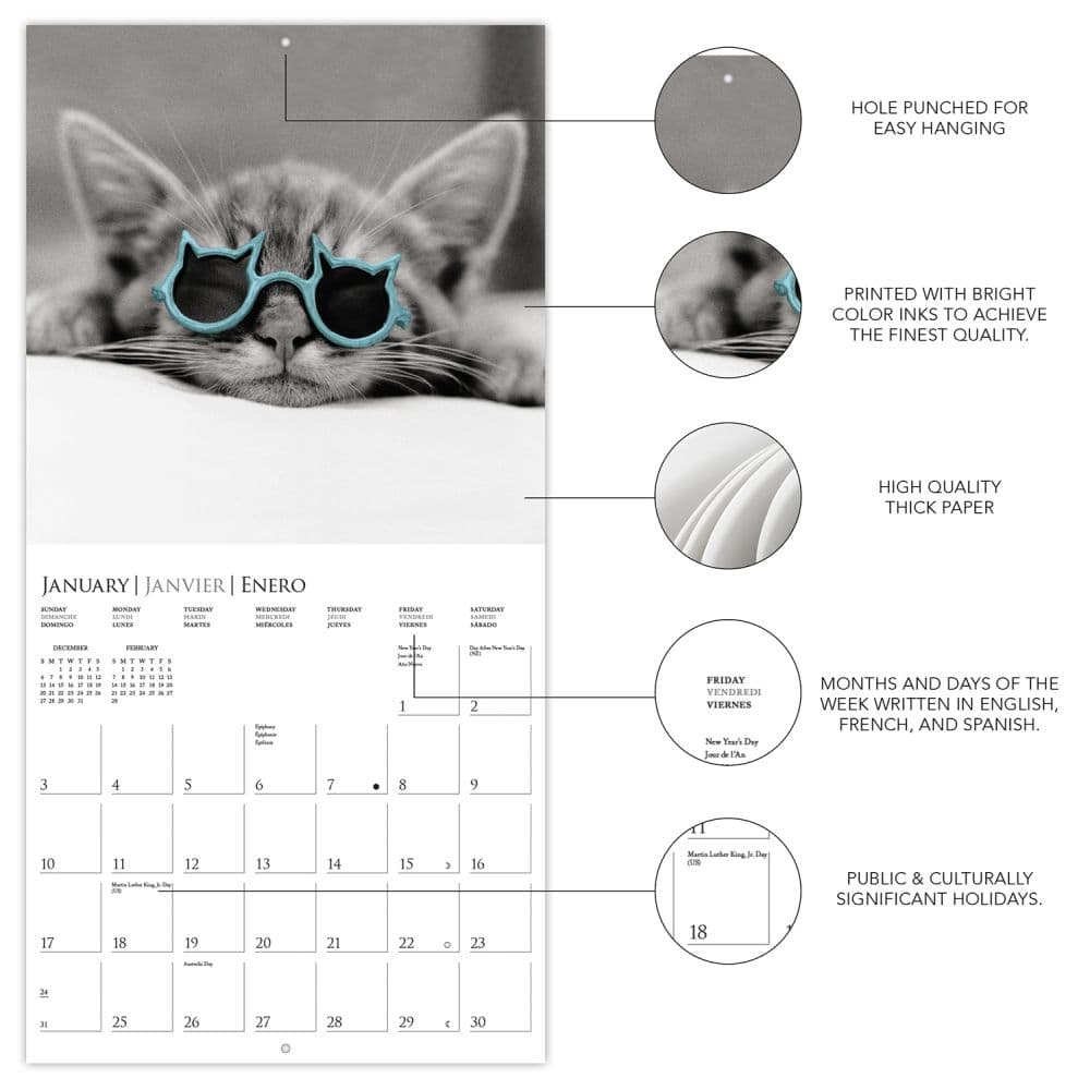 Classic Cats 2027 Mini Wall Calendar Second Alternate Image