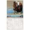 image Horses 2027 Wall Calendar by Hautman Brothers Third Alternate Image