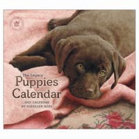 image Puppies 2027 Wall Calendar by Sueellen Ross Main Product Image