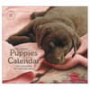 image Puppies 2027 Wall Calendar by Sueellen Ross Main Product Image