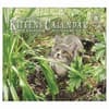 image Kittens 2027 Wall Calendar by Sueellen Ross Main Product Image