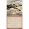 image Cats We Love 2027 Wall Calendar by Sueellen Ross Third Alternate Image