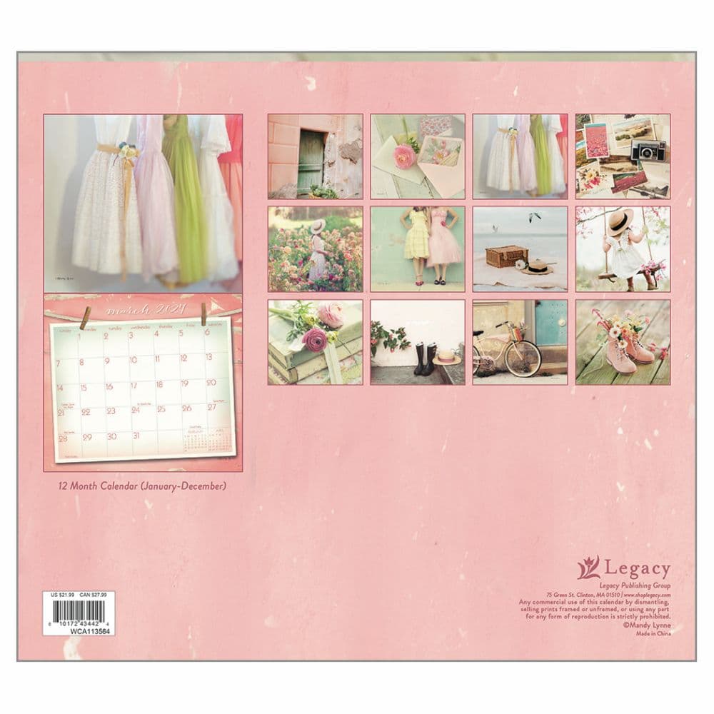 Vintage Pink 2027 Wall Calendar by Mandy Lynne First Alternate Image