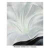 image Women Artists 2027 Wall Calendar Main Product Image