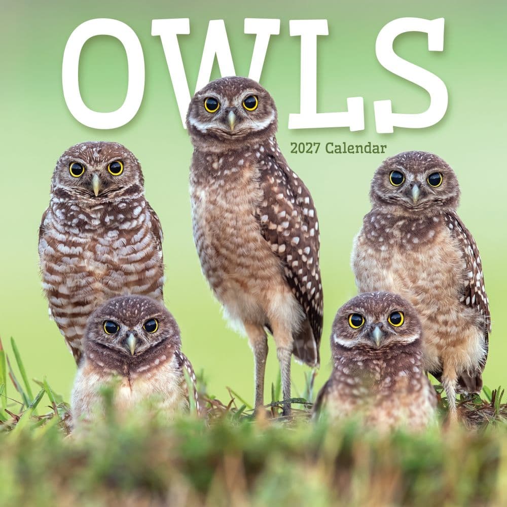 Owls 2027 Wall Calendar Main Product Image