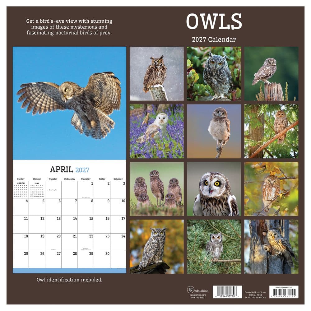 Owls 2027 Wall Calendar First Alternate Image