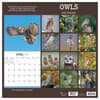 image Owls 2027 Wall Calendar First Alternate Image