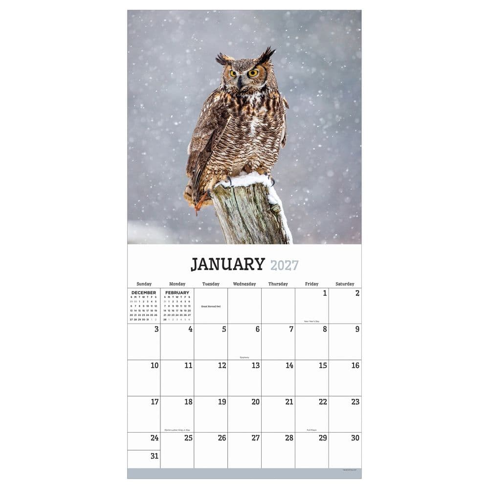 Owls 2027 Wall Calendar Second Alternate Image