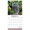 image Owls 2027 Wall Calendar Third Alternate Image