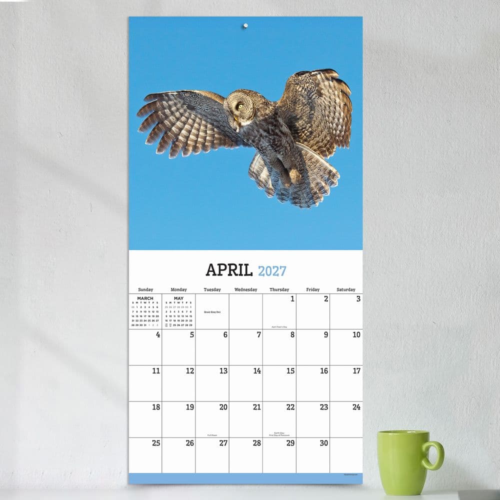 Owls 2027 Wall Calendar Fourth Alternate Image