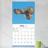 image Owls 2027 Wall Calendar Fourth Alternate Image
