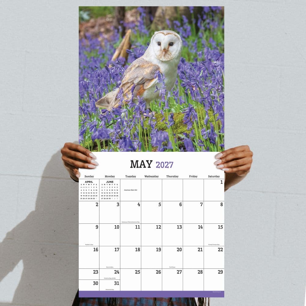 Owls 2027 Wall Calendar Fifth Alternate Image