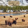 image Ranch Life 2027 Wall Calendar Main Product Image