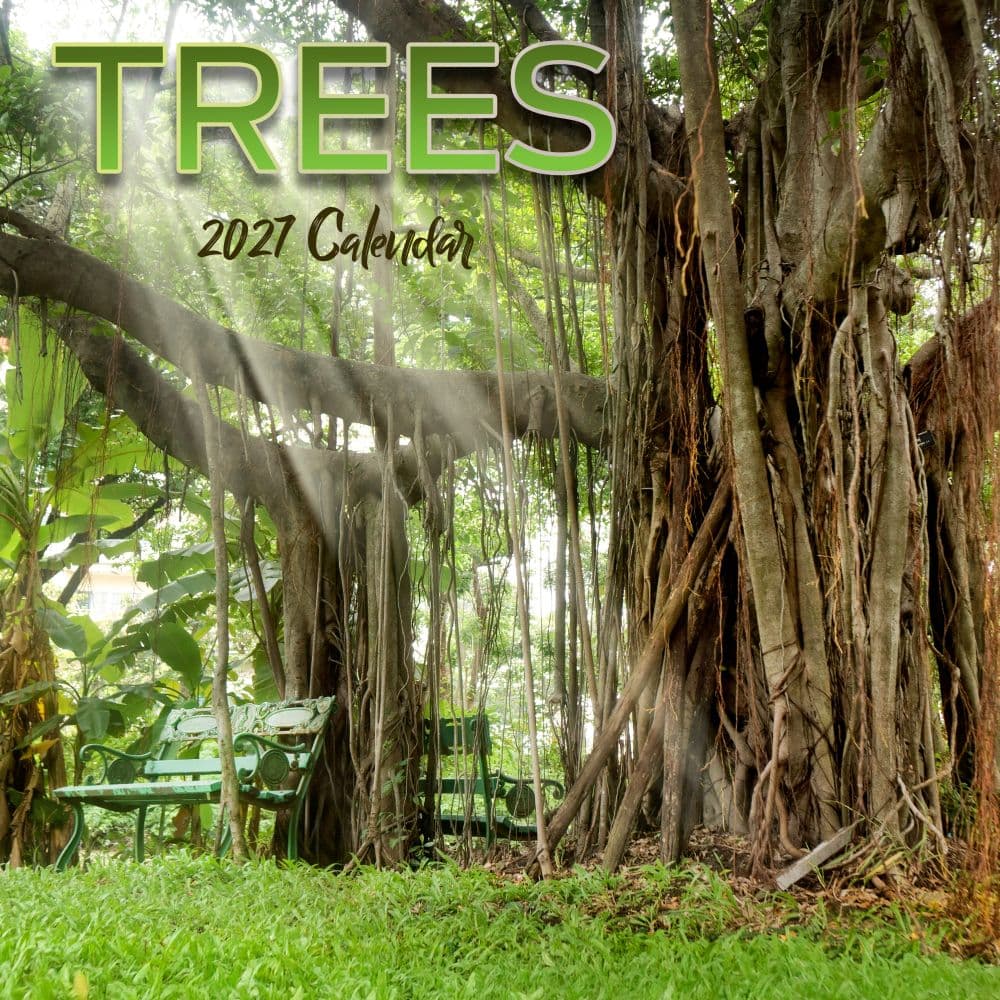 Trees 2027 Wall Calendar Main Product Image