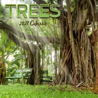 image Trees 2027 Wall Calendar Main Product Image