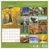image Trees 2027 Wall Calendar First Alternate Image