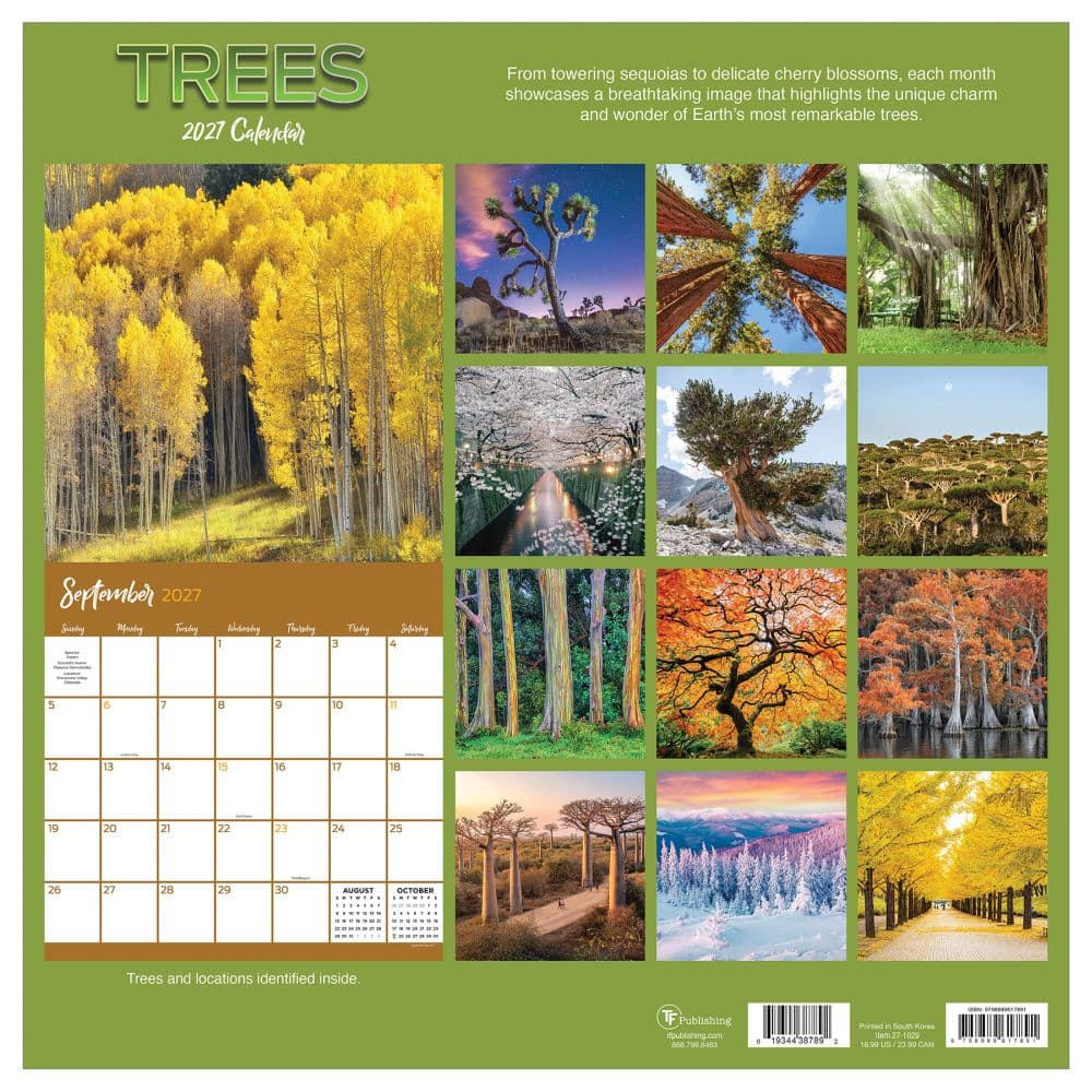 Trees 2027 Wall Calendar First Alternate Image