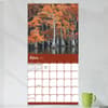 image Trees 2027 Wall Calendar Fourth Alternate Image