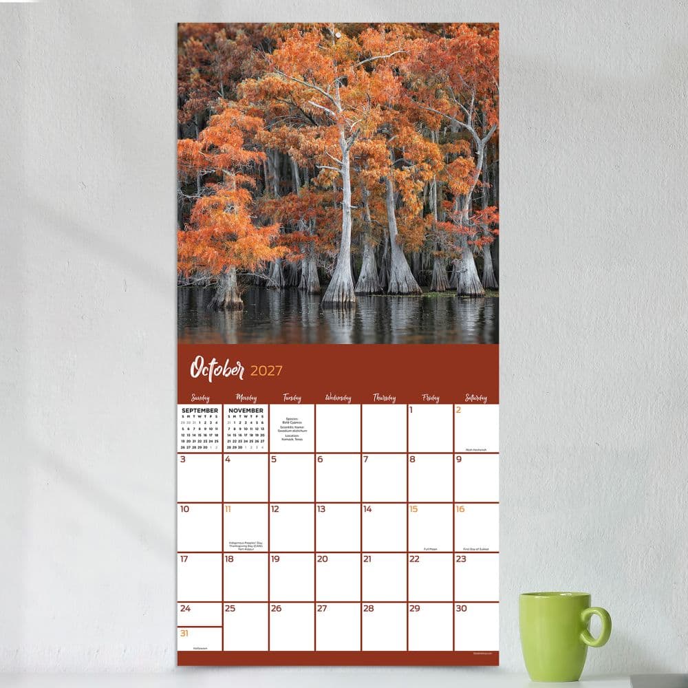 Trees 2027 Wall Calendar Fourth Alternate Image