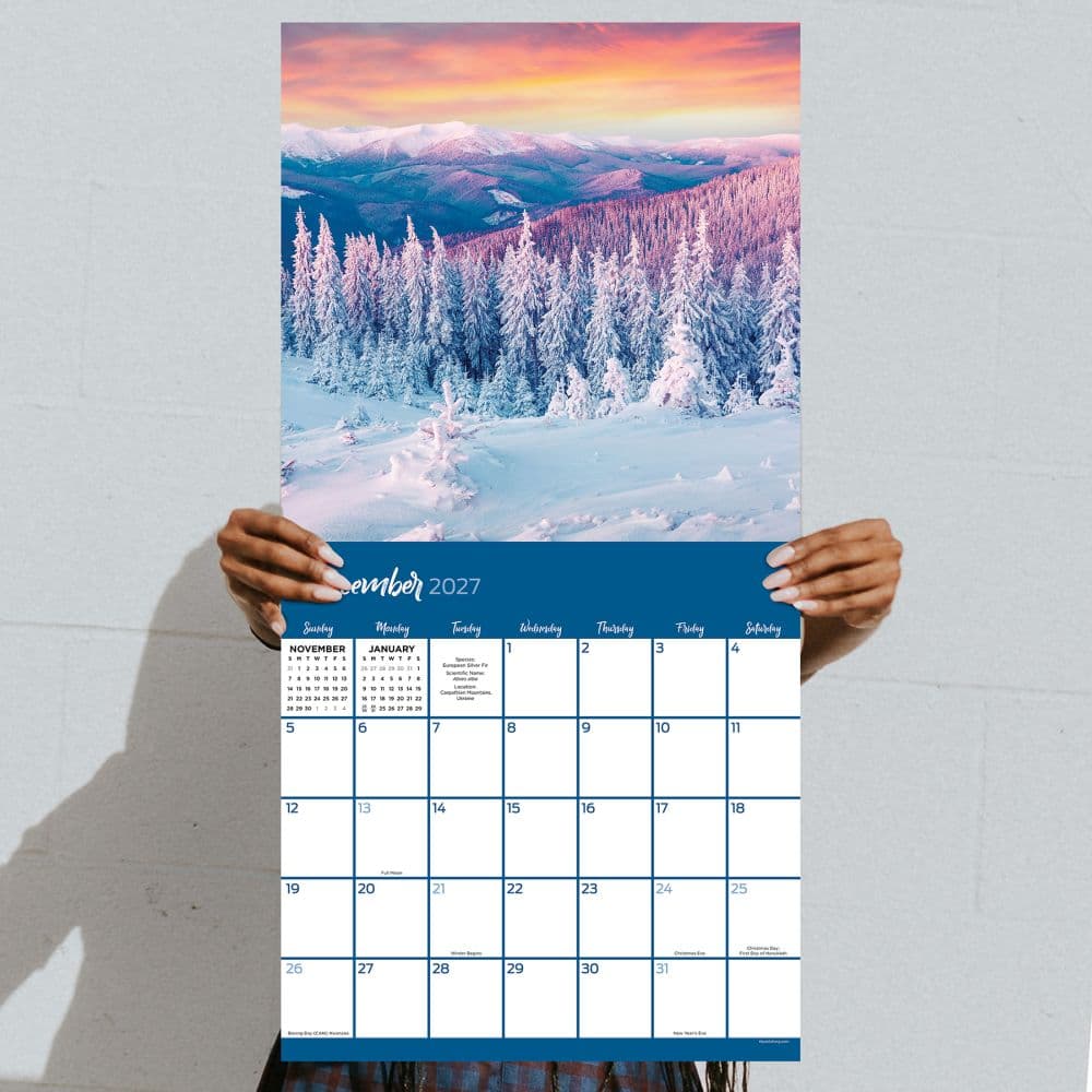 Trees 2027 Wall Calendar Fifth Alternate Image