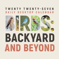 image Birds Backyard and Beyond 2027 Desk Calendar Main Product Image