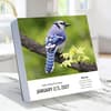 image Birds Backyard and Beyond 2027 Desk Calendar Second Alternate Image