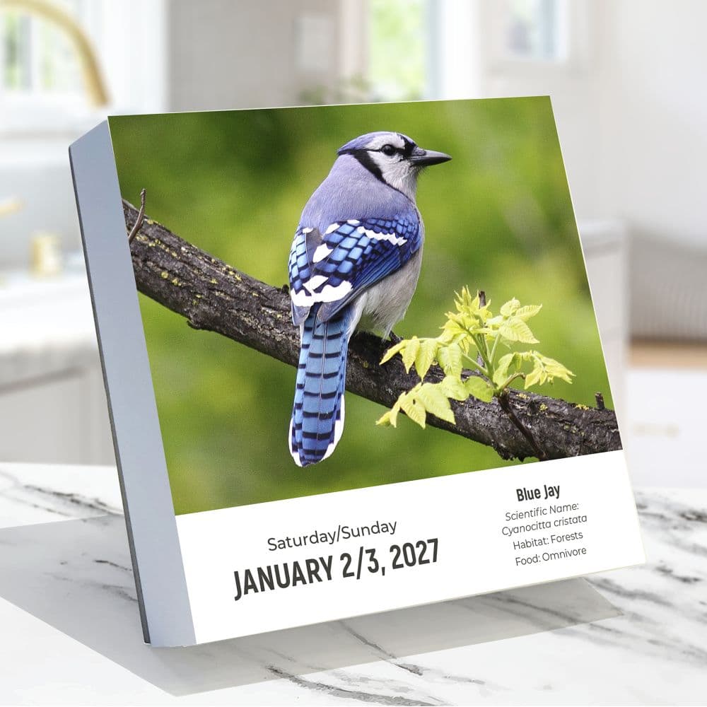 Birds Backyard and Beyond 2027 Desk Calendar Second Alternate Image