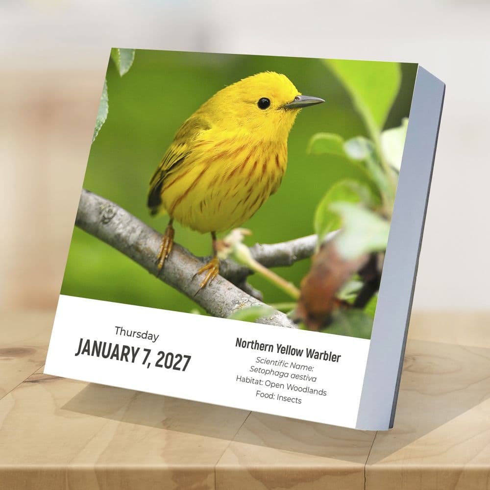 Birds Backyard and Beyond 2027 Desk Calendar Third Alternate Image