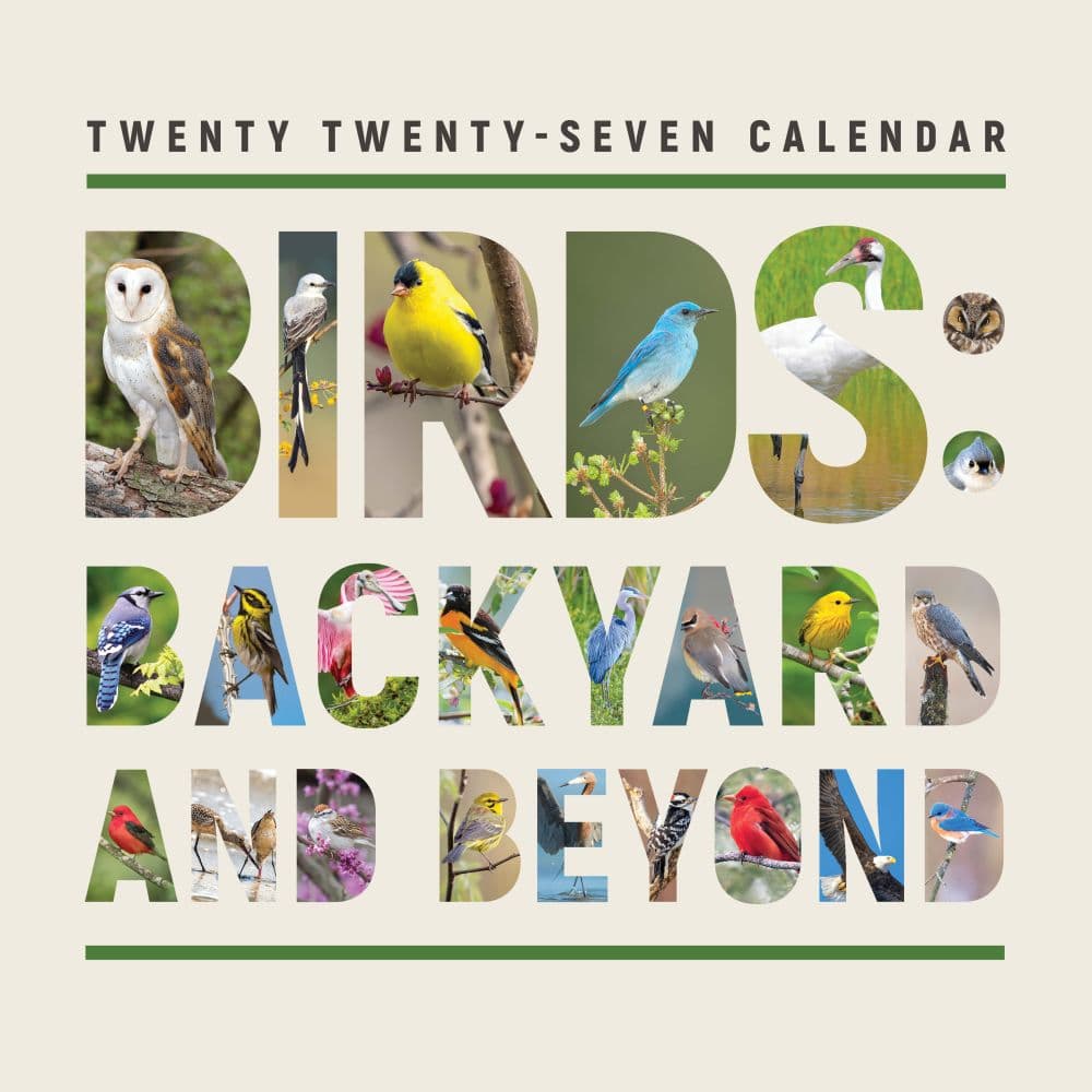image Birds Backyard and Beyond 2027 Wall Calendar Main Product Image