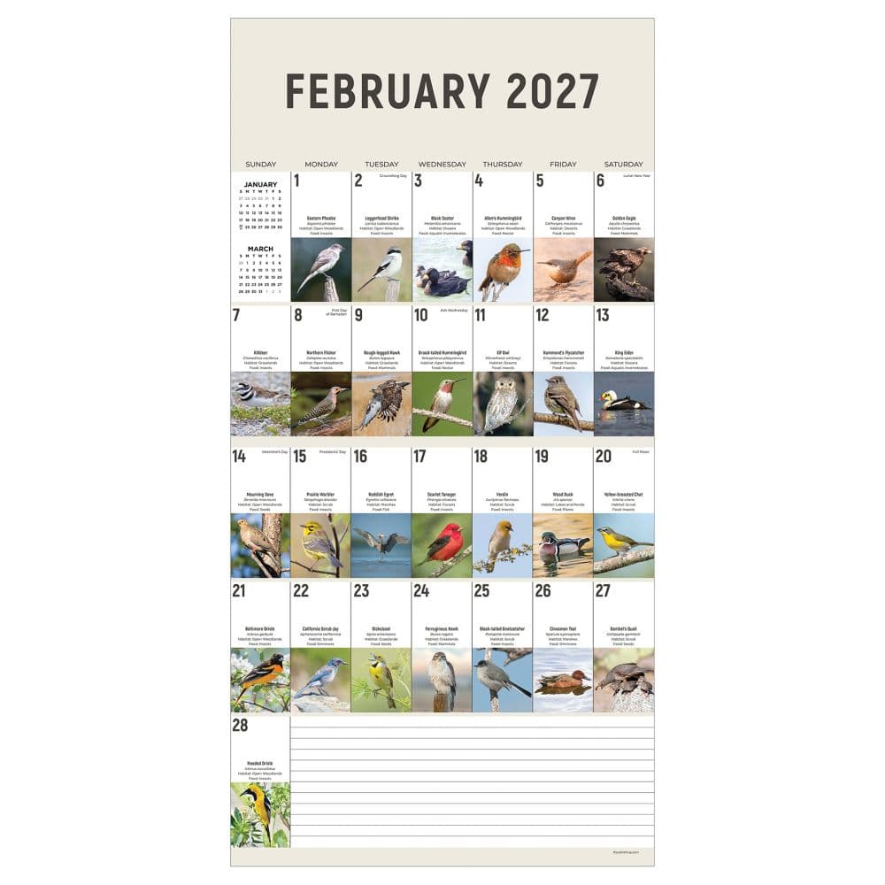 Birds Backyard and Beyond 2027 Wall Calendar Second Alternate Image