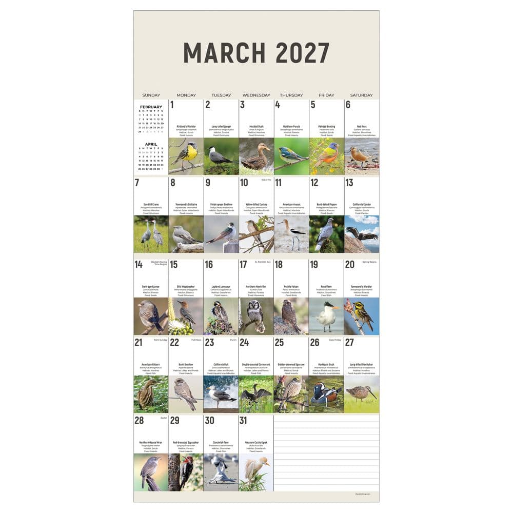 Birds Backyard and Beyond 2027 Wall Calendar Third Alternate Image