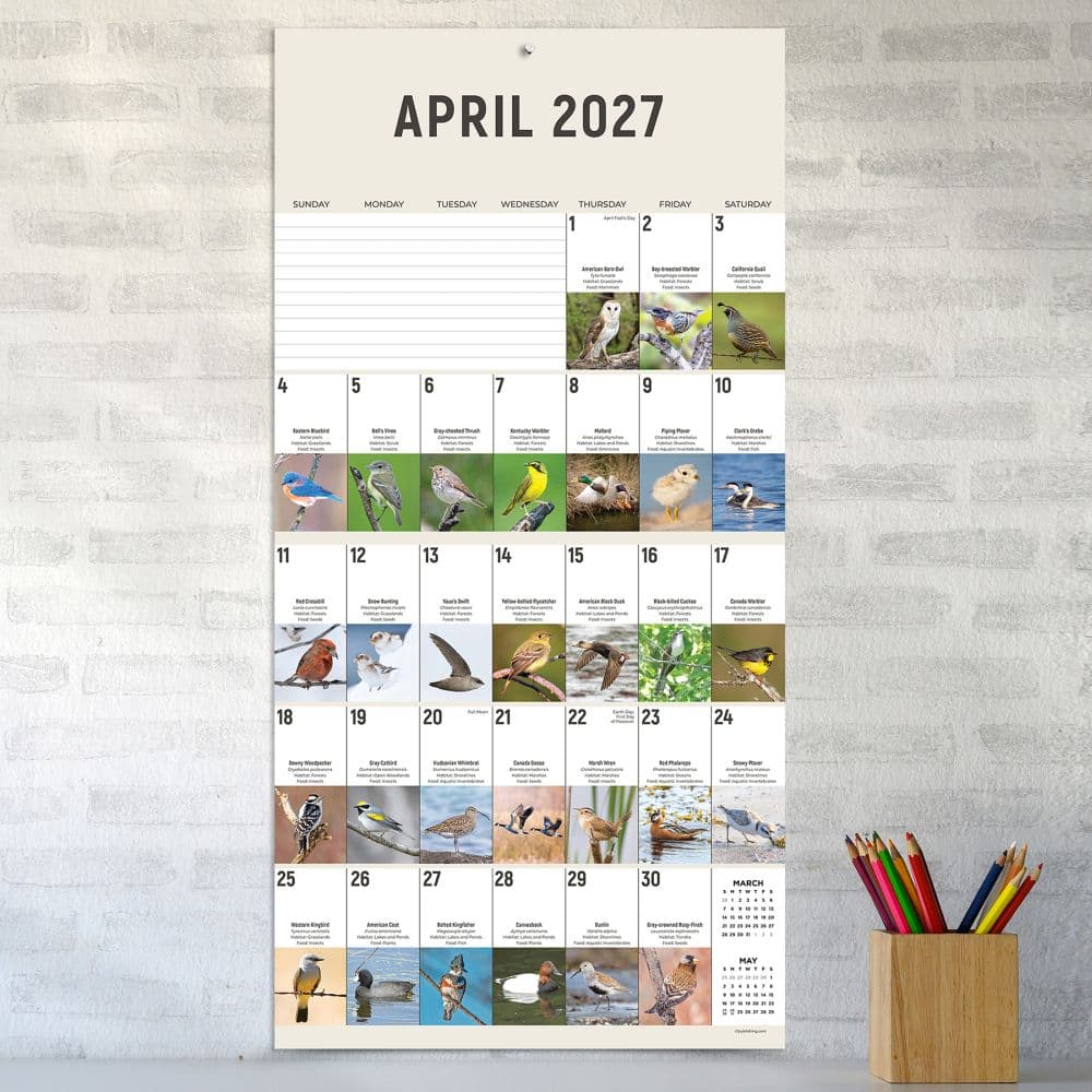 Birds Backyard and Beyond 2027 Wall Calendar Fourth Alternate Image