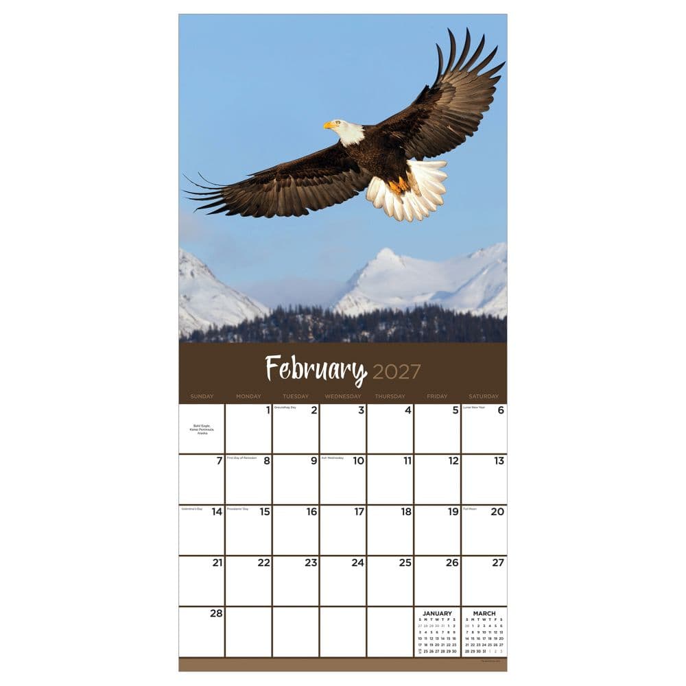 Wild 2027 Wall Calendar Second Alternate Image