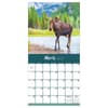 image Wild 2027 Wall Calendar Third Alternate Image