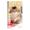 image Kitten 2027 2 Year Monthly Pocket Planner Main Product Image