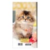 image Kitten 2027 2 Year Monthly Pocket Planner First Alternate Image