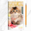image Kitten 2027 2 Year Monthly Pocket Planner Sixth Alternate Image