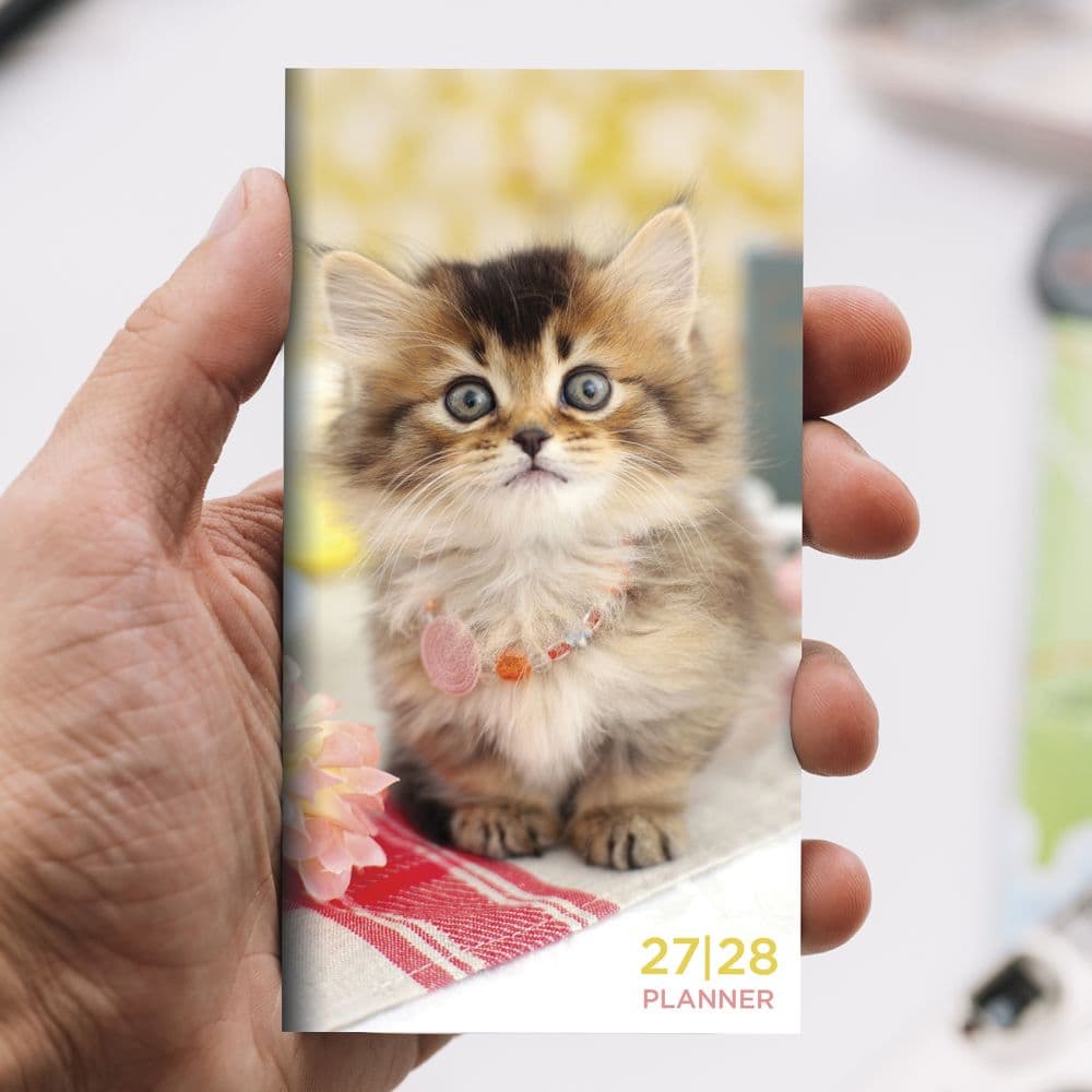 Kitten 2027 2 Year Monthly Pocket Planner Eighth Alternate Image