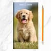 image Dog 2027 2 Year Monthly Pocket Planner Sixth Alternate Image