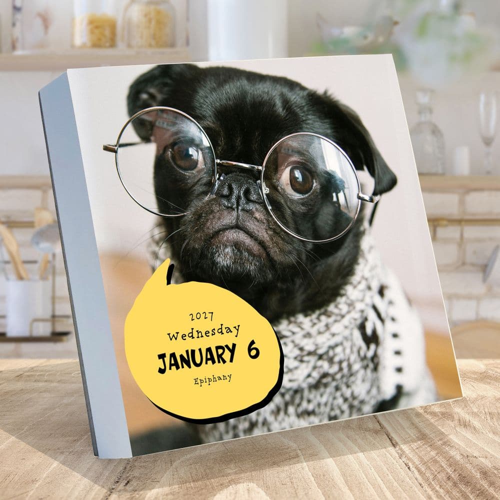 Dog A Day 2027 Desk Calendar Second Alternate Image