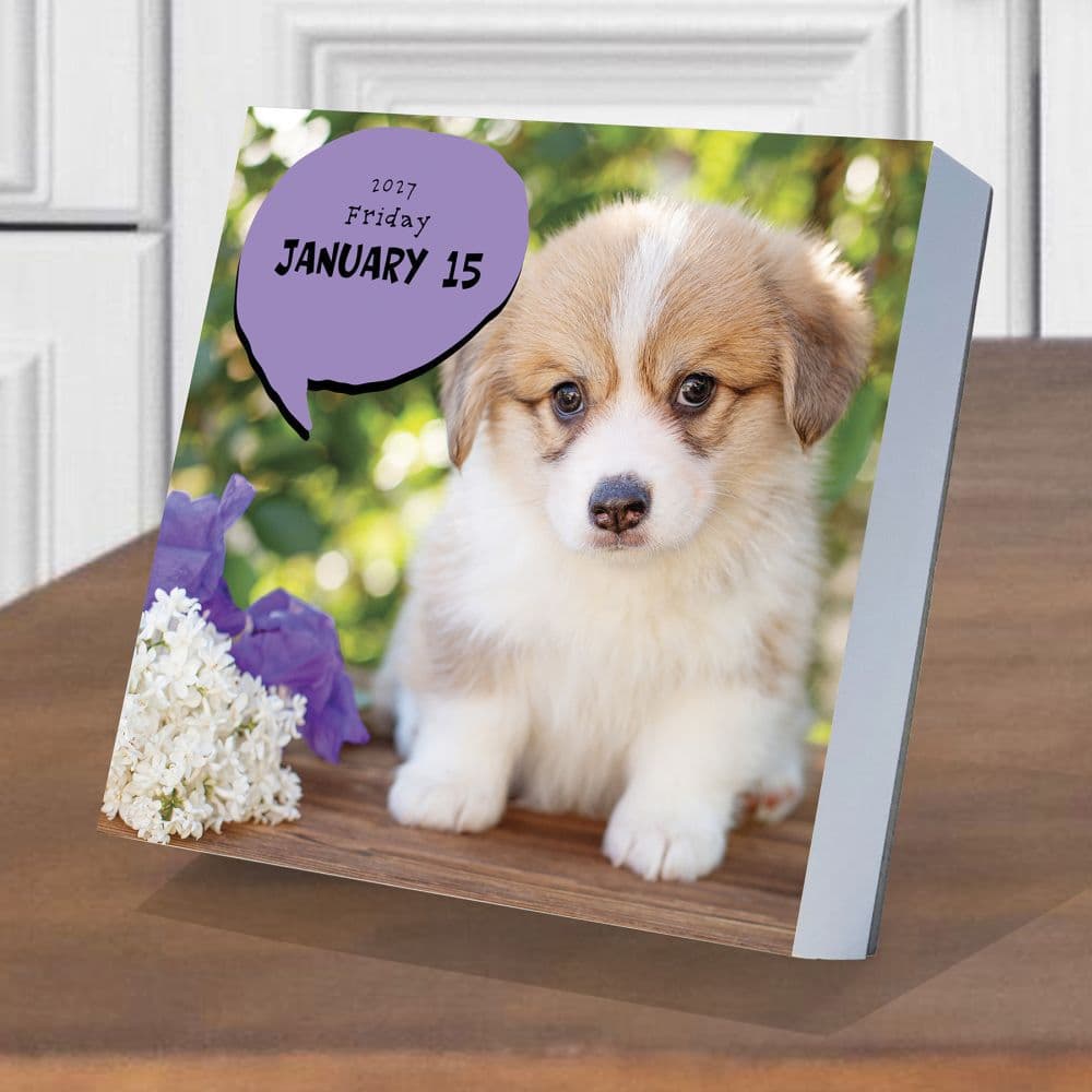 Dog A Day 2027 Desk Calendar Third Alternate Image