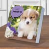 image Dog A Day 2027 Desk Calendar Third Alternate Image
