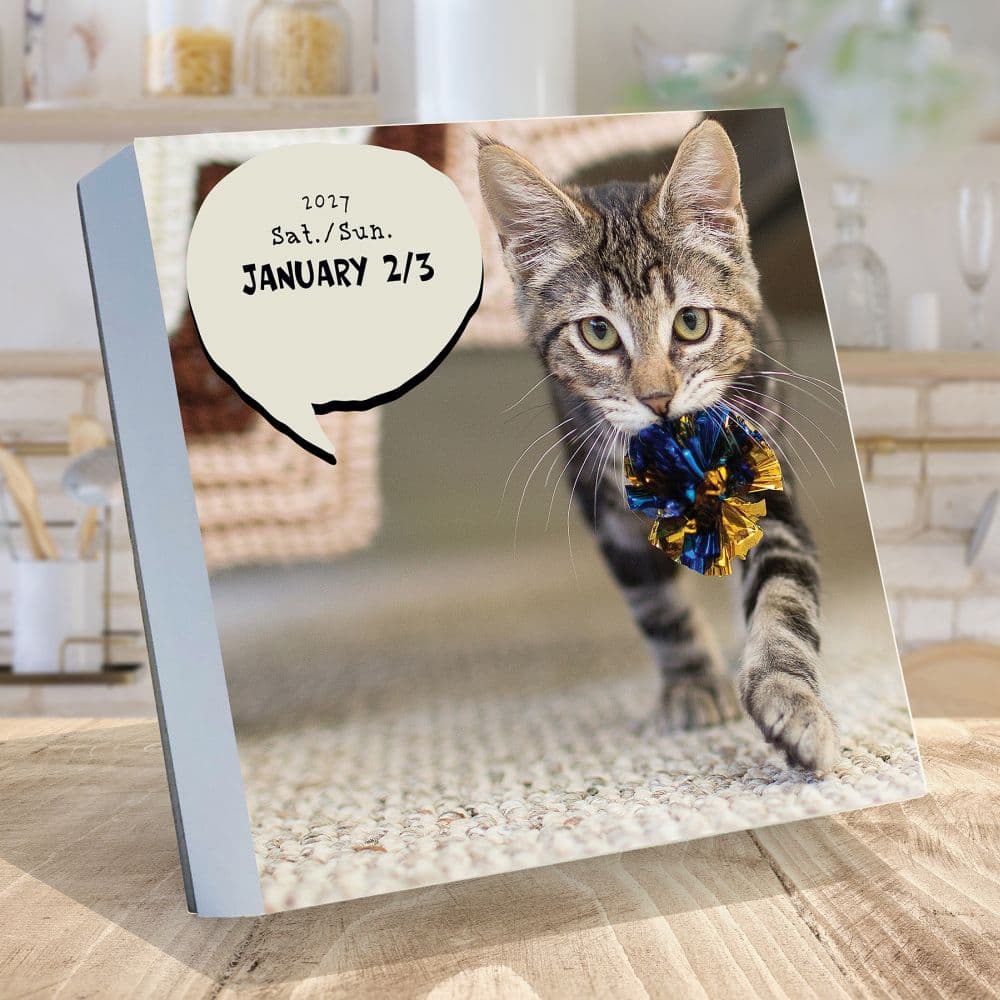Cat A Day 2027 Desk Calendar Second Alternate Image