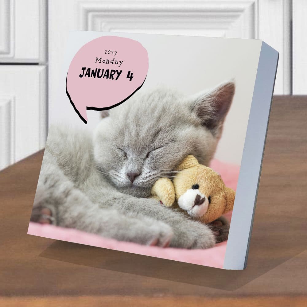Cat A Day 2027 Desk Calendar Third Alternate Image