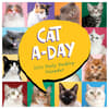 image Cat A Day 2027 Desk Calendar Fourth Alternate Image