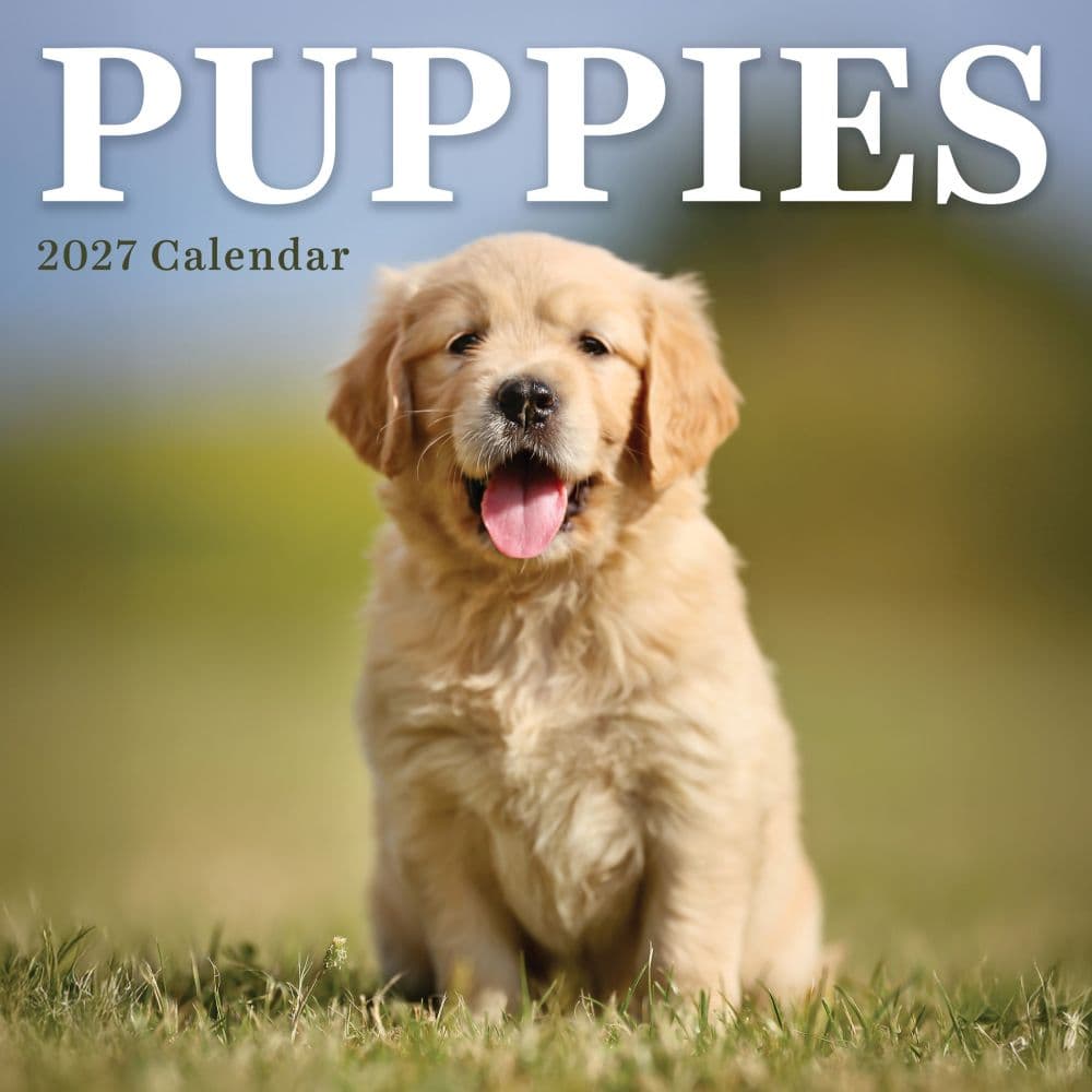 Puppies 2027 Mini Wall Calendar Main Product Image