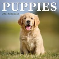 image Puppies 2027 Mini Wall Calendar Main Product Image