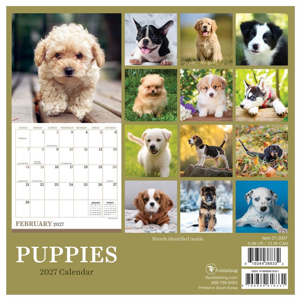 Puppies 2027 Mini Wall Calendar First Alternate Image
