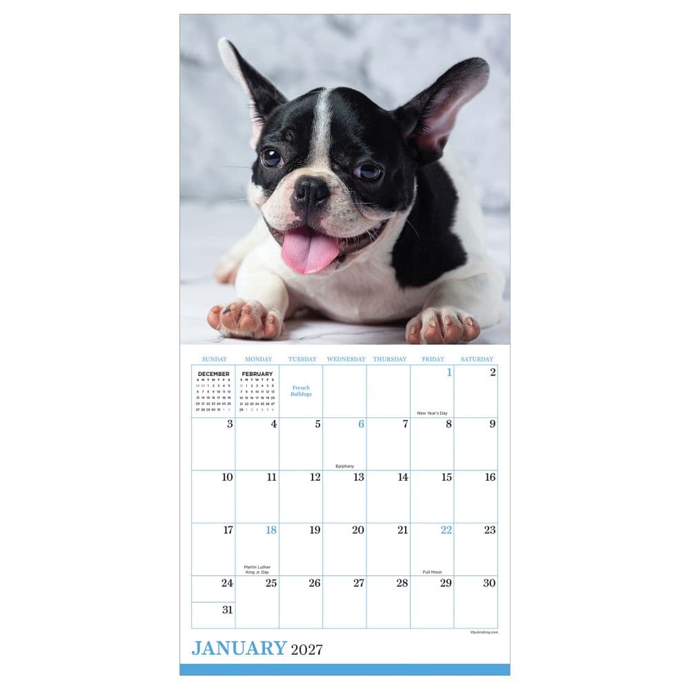 Puppies 2027 Mini Wall Calendar Second Alternate Image